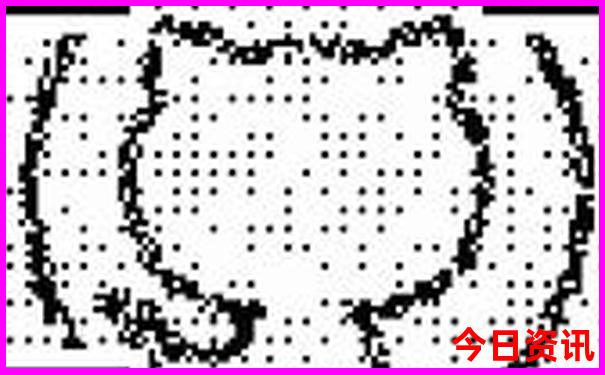 宝鸡有哪些景点最值得去